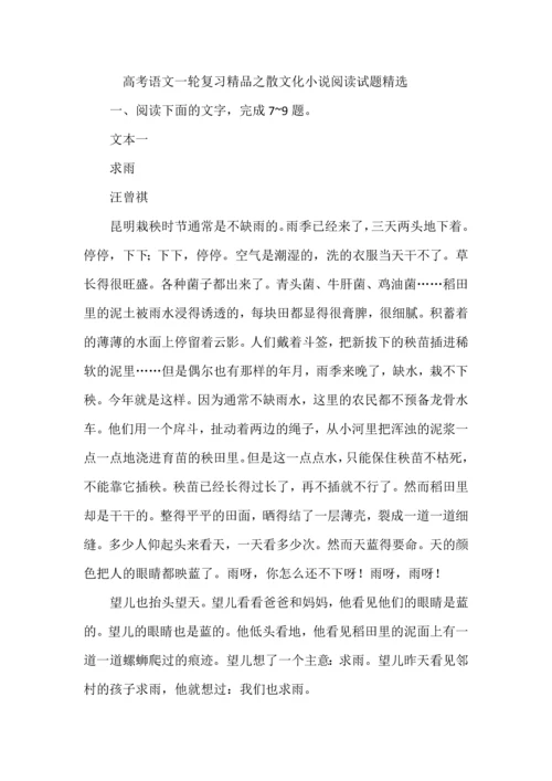 高考语文一轮复习精品之散文化小说阅读试题精选.docx