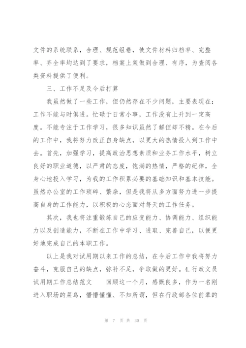 行政文员试用期工作总结范文（10篇）.docx