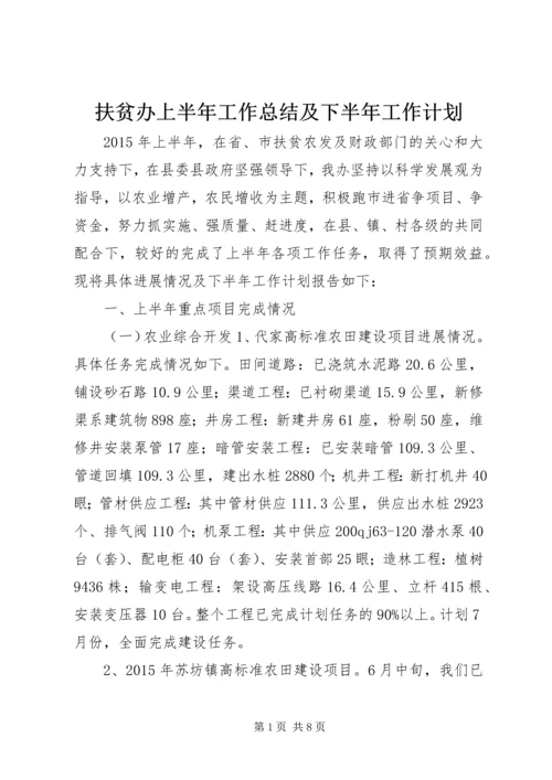 扶贫办上半年工作总结及下半年工作计划.docx