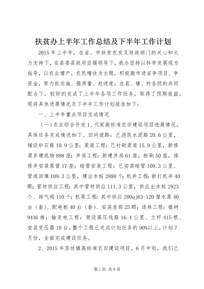 扶贫办上半年工作总结及下半年工作计划.docx