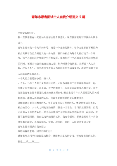 青年志愿者面试个人自我介绍范文5篇求职.docx