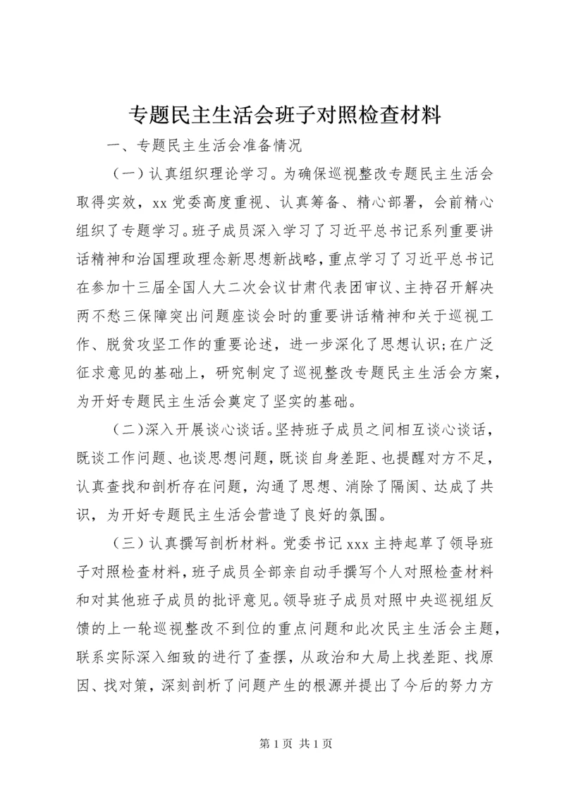 专题民主生活会班子对照检查材料.docx