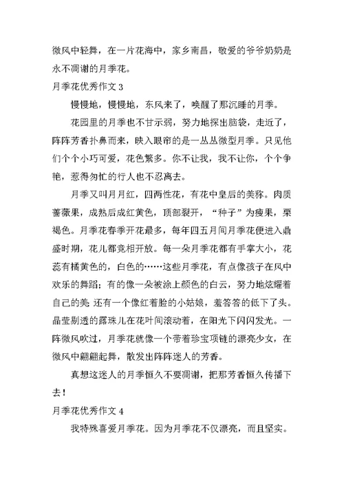 月季花优秀作文