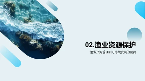 海洋守卫者：渔业新策