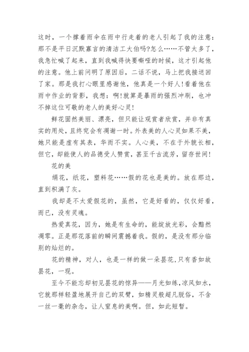 关于美话题的作文700字5篇.docx