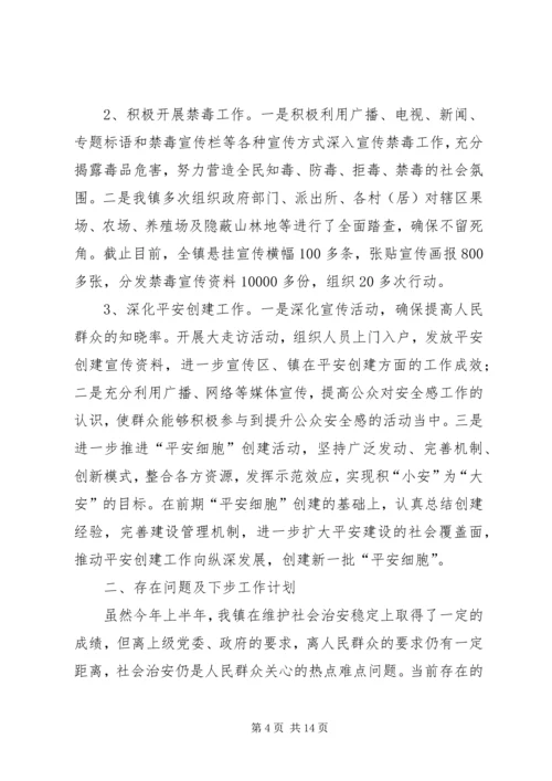 乡镇综治维稳半年工作总结.docx