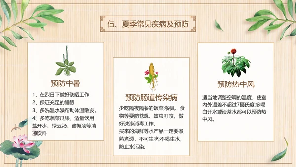三伏养生中医食疗PPT模板