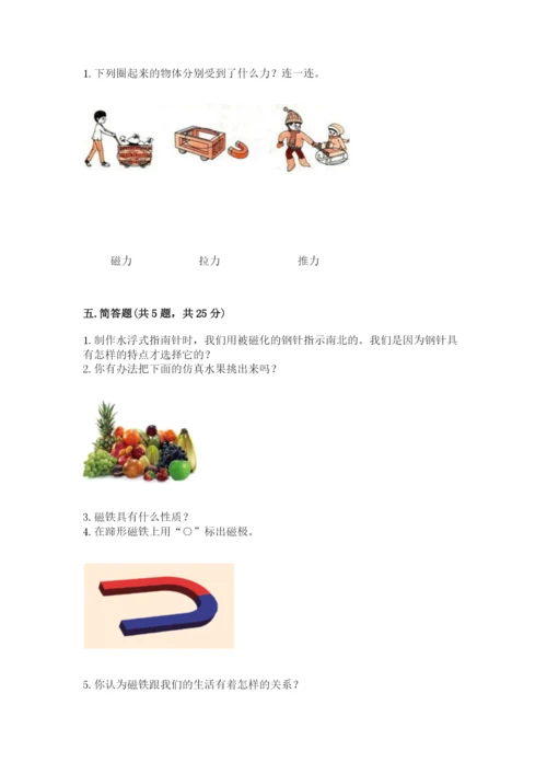 教科版小学科学二年级下册 期末测试卷【有一套】.docx