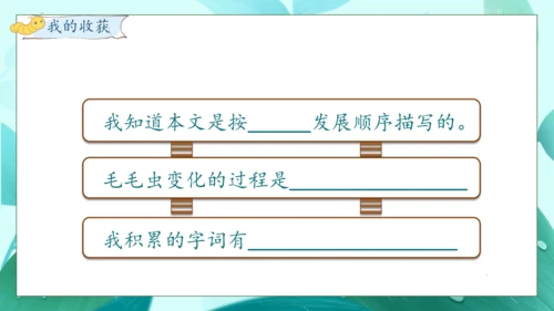 【核心素养】部编版语文二年级下册-22. 小毛虫 第1课时（课件）