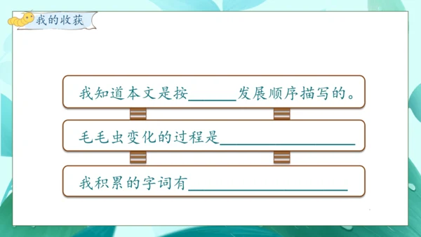 【核心素养】部编版语文二年级下册-22. 小毛虫 第1课时（课件）