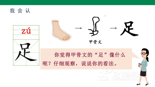 识字3  口耳目   课件