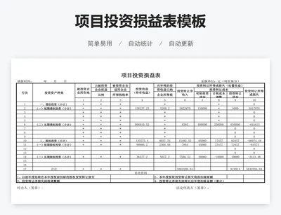 项目投资损益表模板