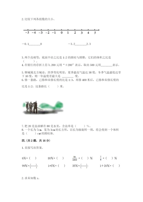 河南省平顶山市六年级下册数学期末测试卷附参考答案（培优）.docx