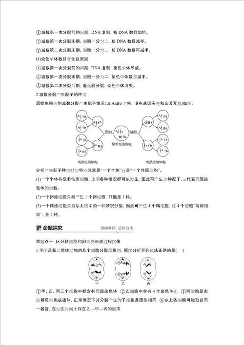 浙江选考202x版高考生物新导学大一轮复习 第11讲 减数分裂中的染色体行为讲义