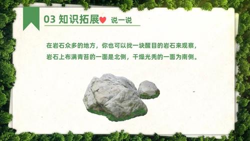 绿色简约实拍要是你在野外迷了路二年级语文下册说课PPT课件小学语文二年级下册课件