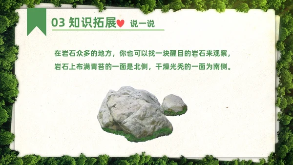 绿色简约实拍要是你在野外迷了路二年级语文下册说课PPT课件小学语文二年级下册课件