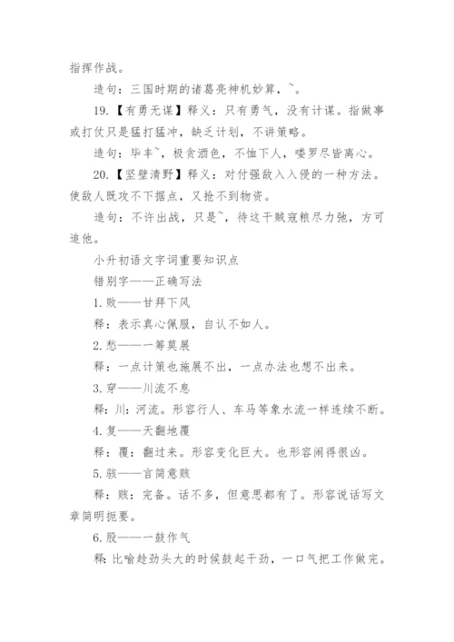 小升初语文考试字词知识点汇总整理.docx