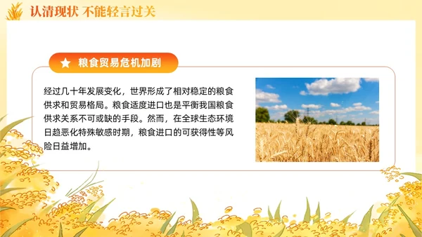 大学生形势与政策保障粮食安全的中国策ppt课件党建