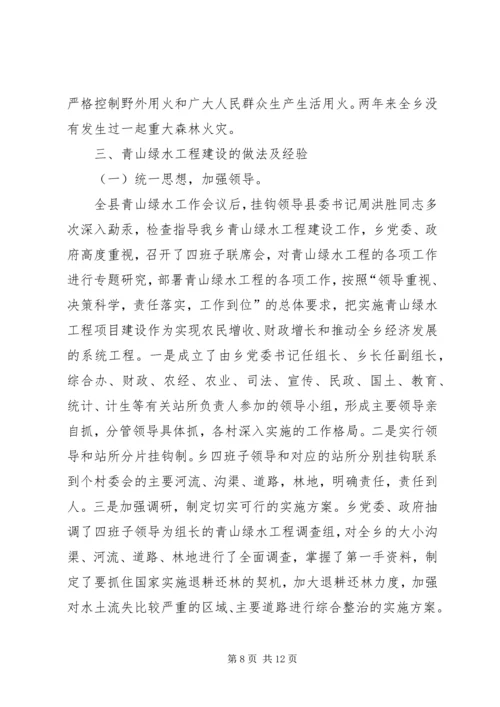 乡青山绿水工程实施情况汇报_1.docx