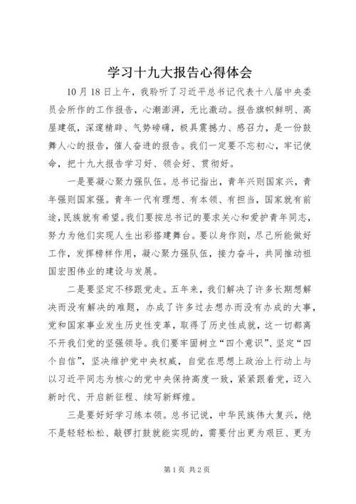 学习十九大报告心得体会 (31).docx