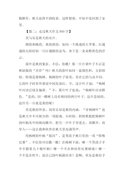 走进秋天作文800字-1.docx