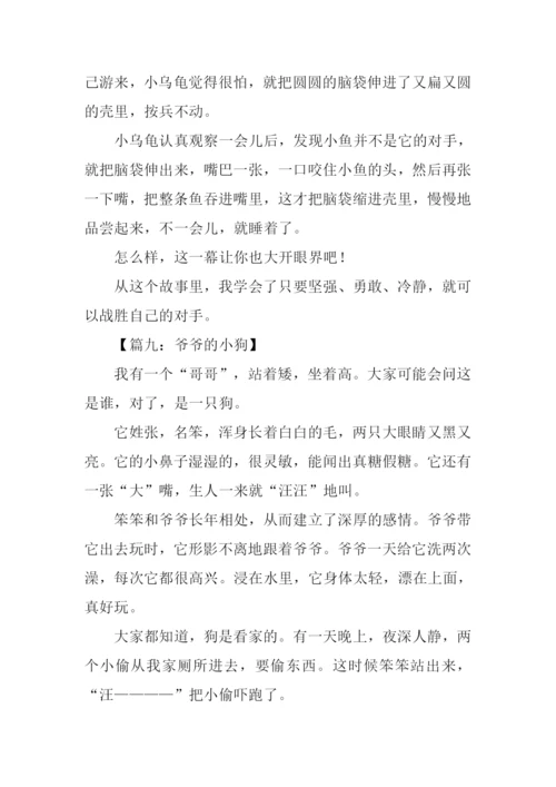 小动物作文350字.docx