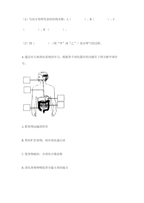 教科版四年级上册科学期末测试卷（典优）word版.docx