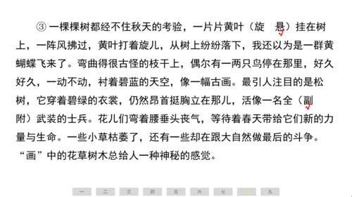 统编版语文三年级上册（江苏专用）第二单元素养测评卷课件