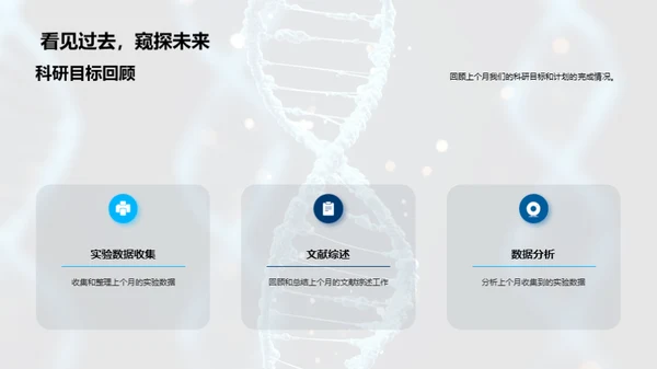 科研进展与未来规划