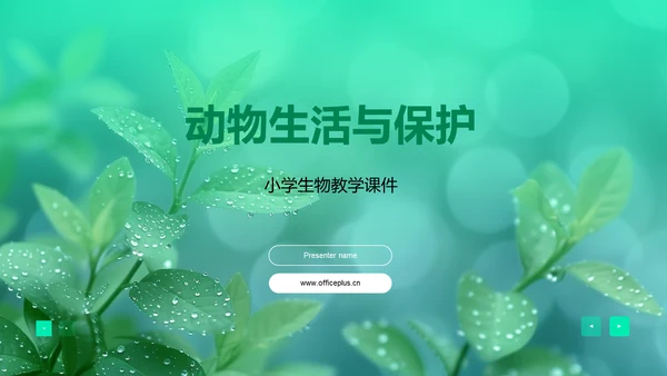 动物生活与保护PPT模板