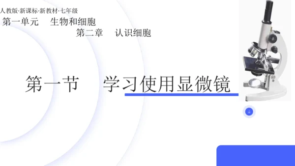 人教版（2024）七年级上册1.2.1 学习使用显微镜 课件(共29张PPT)