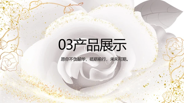 公司企业品牌化妆品介绍宣传PPT