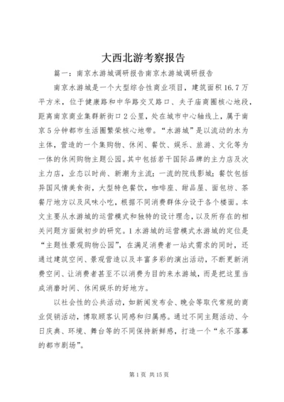 大西北游考察报告 (3).docx