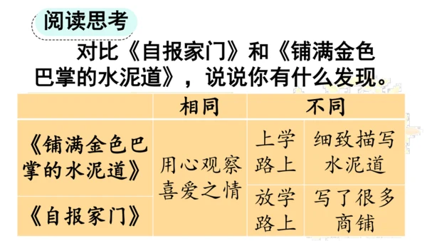 5 铺满金色巴掌的水泥道