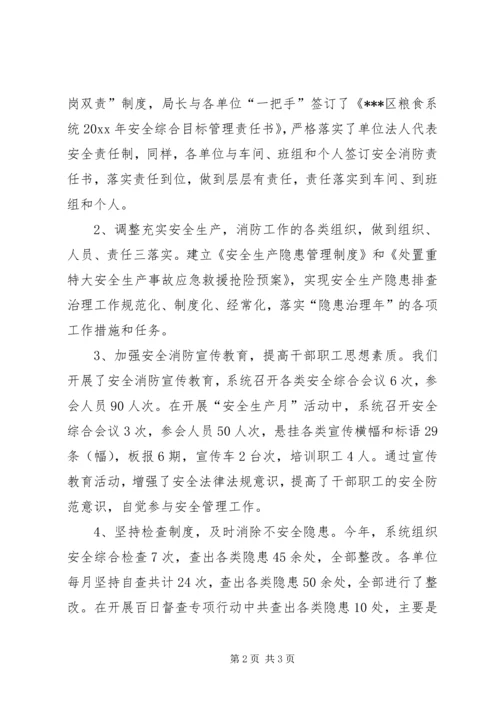 粮食局安全生产工作总结及工作计划 (2).docx