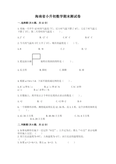 海南省小升初数学期末测试卷及完整答案一套.docx