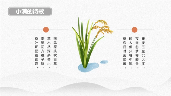 小满节气介绍PPT模板