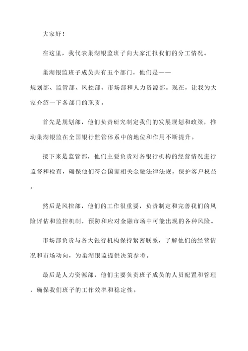 巢湖银监班子分工情况汇报