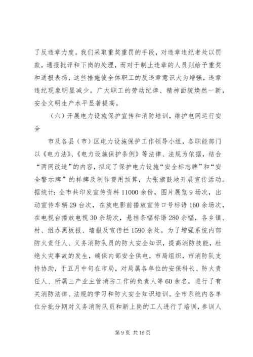 电力局安全保卫工作总结及计划 (3).docx