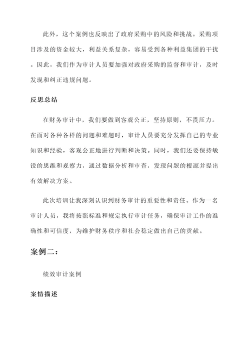 省厅审计实务培训心得