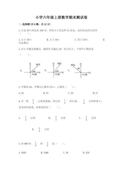 小学六年级上册数学期末测试卷【新题速递】.docx