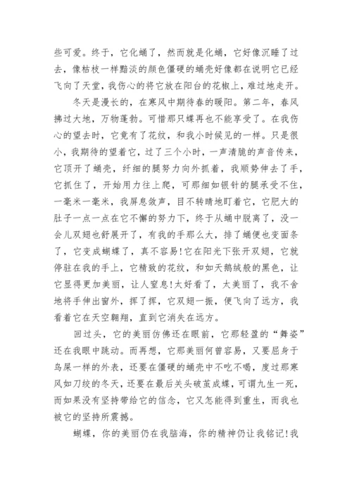 辽宁语文中考作文真题.docx
