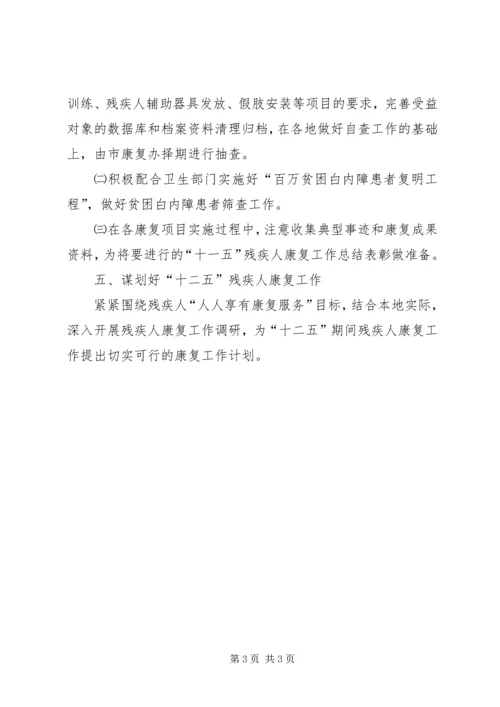 残疾人康复工作安排 (2).docx