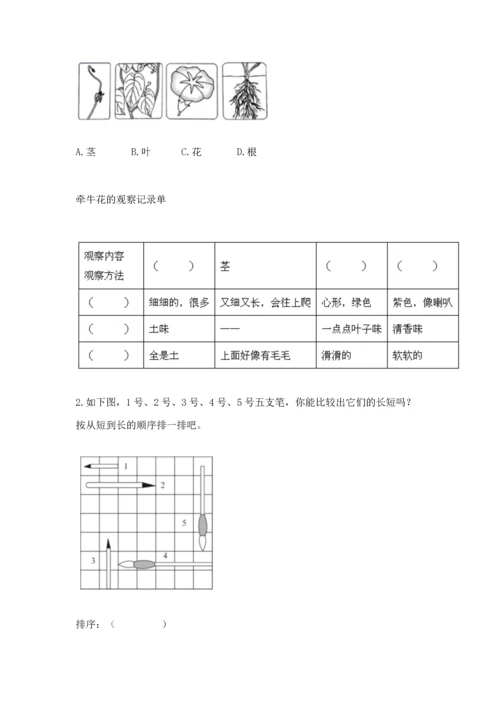 教科版小学一年级上册科学期末测试卷ab卷.docx