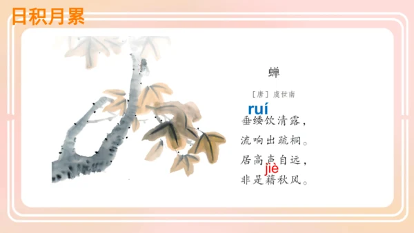 统编版语文五年级上册 第一单元 语文园地一  课件