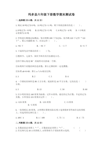 玛多县六年级下册数学期末测试卷（历年真题）.docx