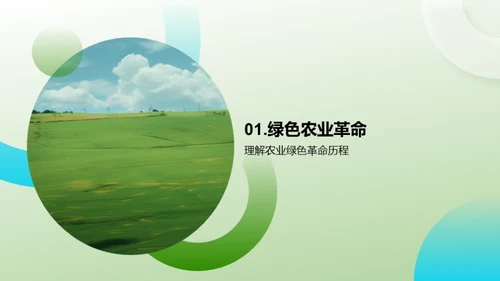 迈向绿色农业