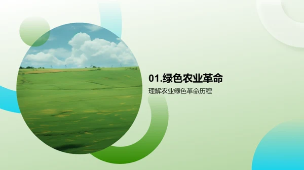 迈向绿色农业