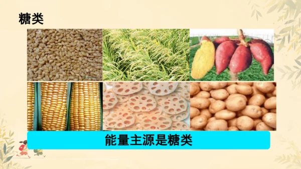 初中生物学人教版（新课程标准）七年级下册4.2.1食物中的营养物质课件(共21张PPT)