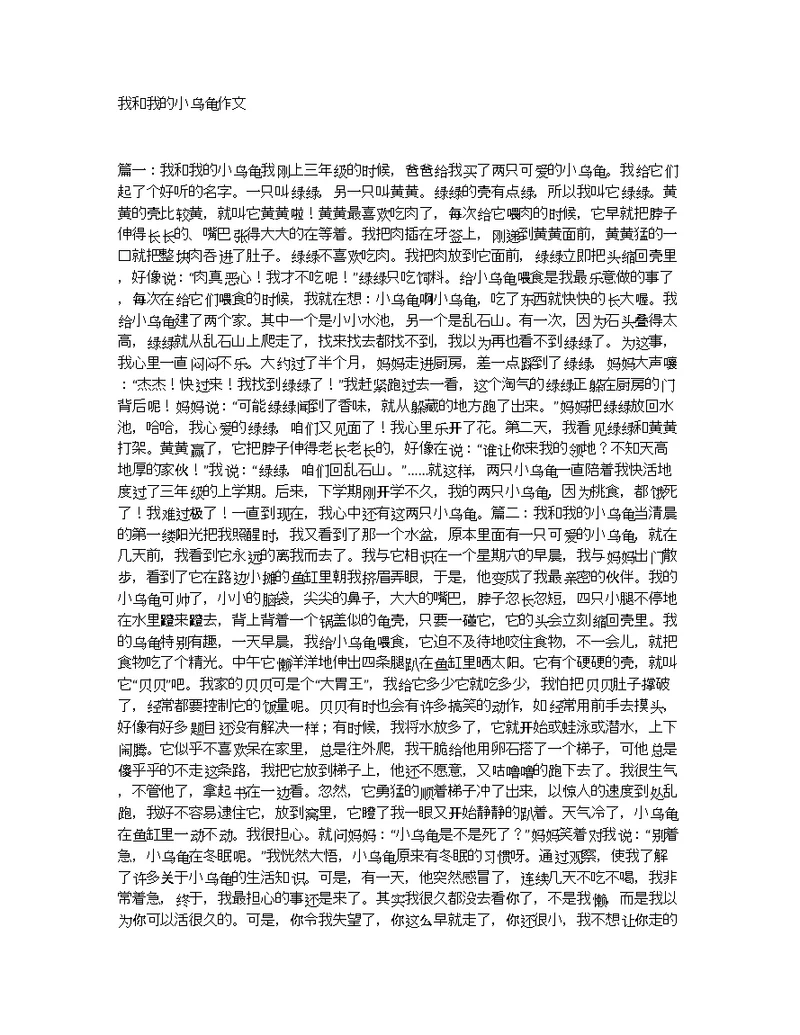 我和我的小乌龟作文